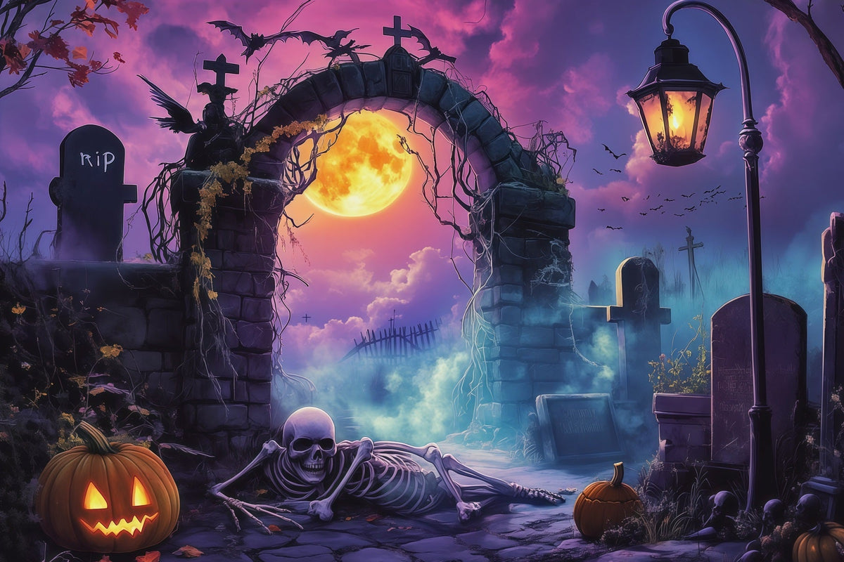 Décor De Fond Extérieur Pour Halloween Arche De Cimetière Éclairée À La Lune Squelette RR67-9