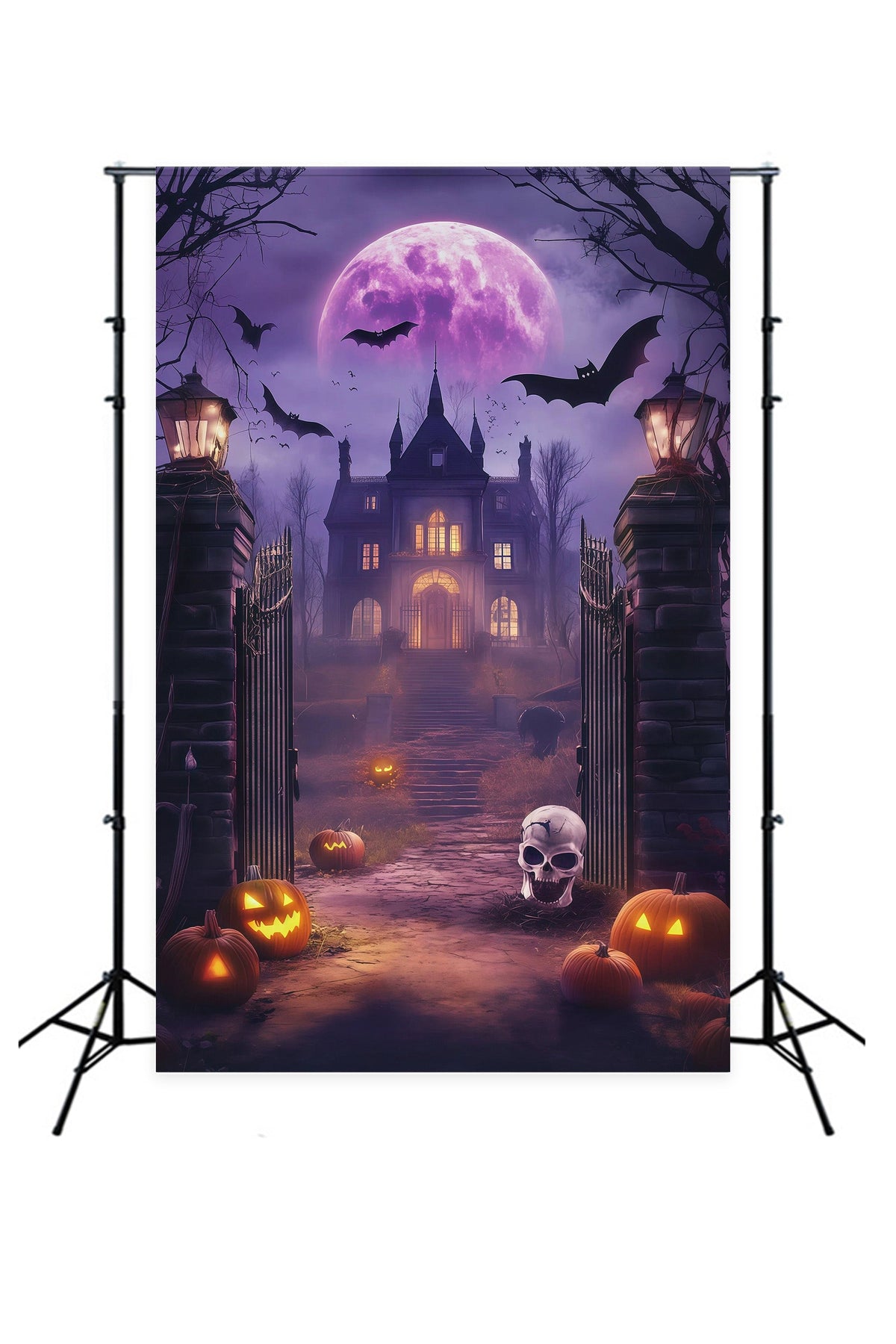 Décor De Photomaton D'Halloween À Faire Soi-Même Lune Violette Porte Hantée RR67-91