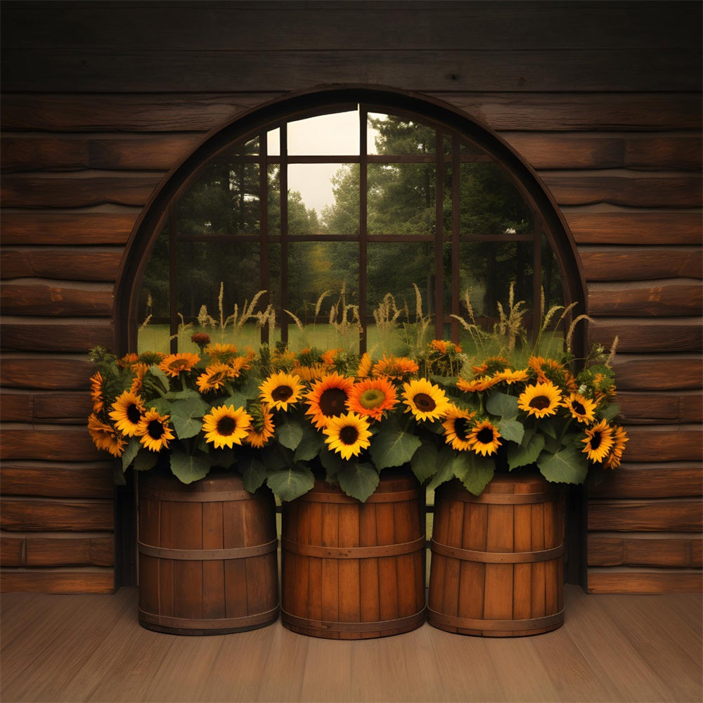 Toile de fond de présentation de tonneau avec tournesols d'automne RR7-342