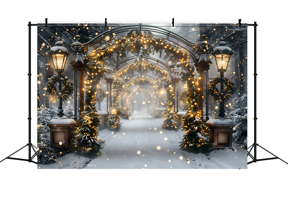 Toile de fond de Noël Tunnel de Lumières Magique RR7-588