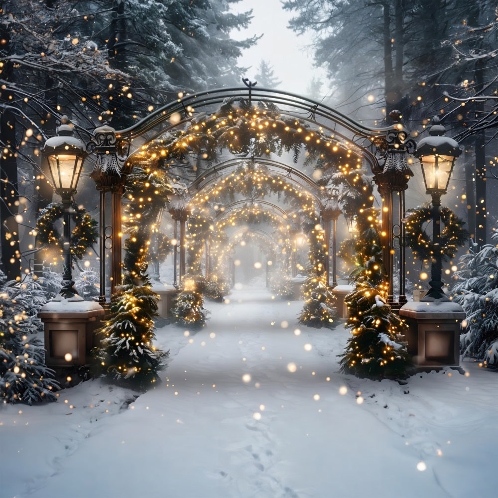 Toile de fond de Noël Tunnel de Lumières Magique RR7-588