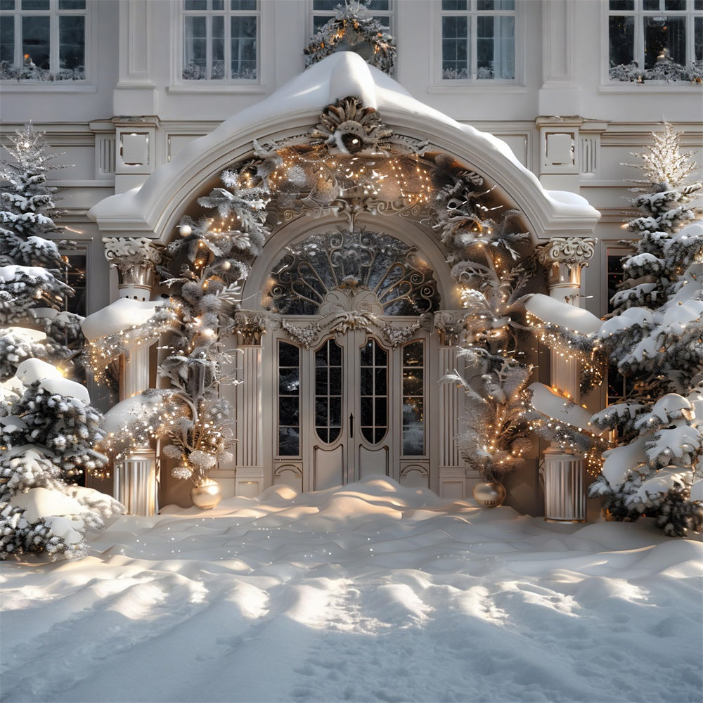 Toile de fond de Noël Entrée Grandiose Merveilleuse RR7-590
