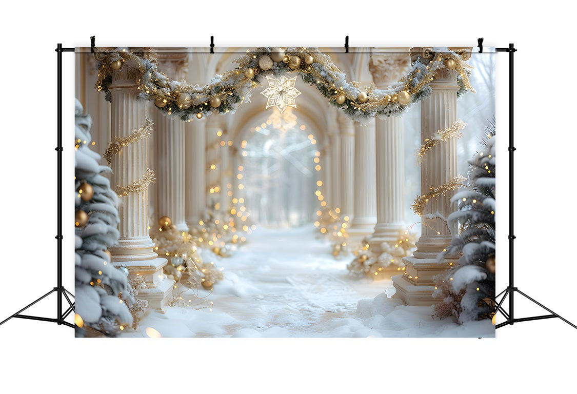 Toile de fond de Noël Promenade au Palais Hivernal RR7-612