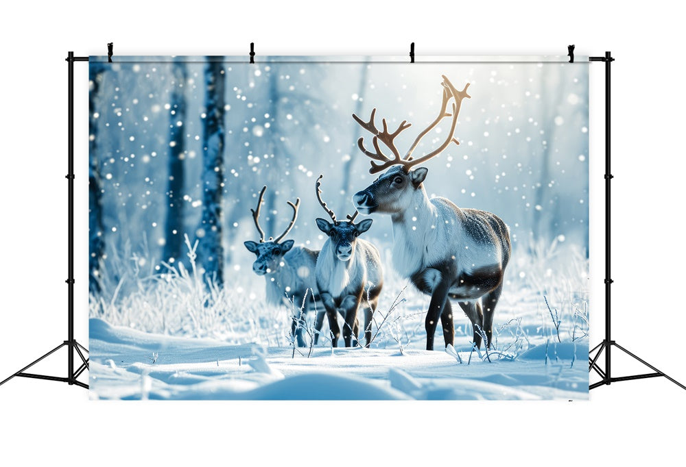 Toile de fond de Forêt Neigeuse avec Renne de Noël RR7-773
