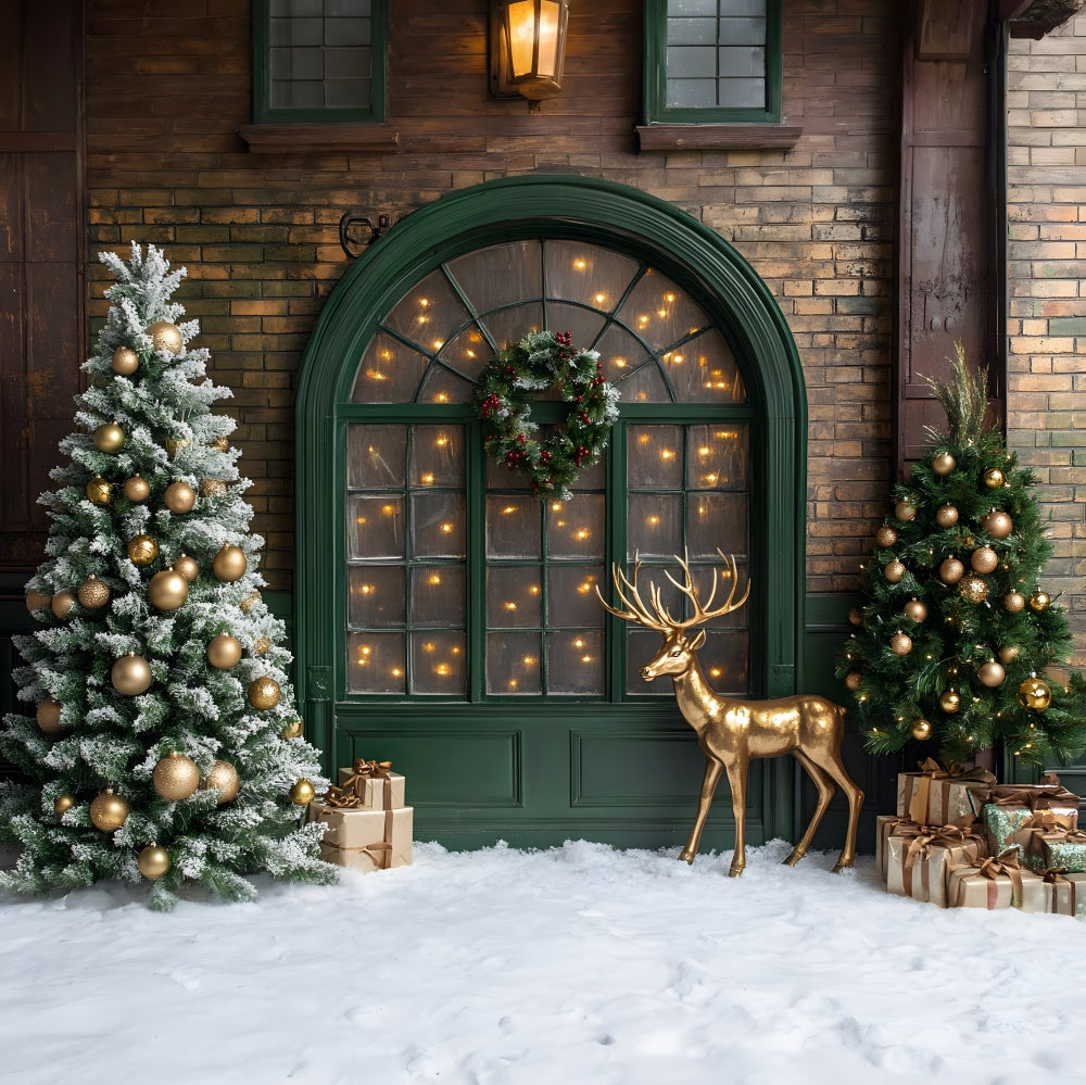 Toile de fond Renne et Fenêtre Illuminée de Noël RR8-104