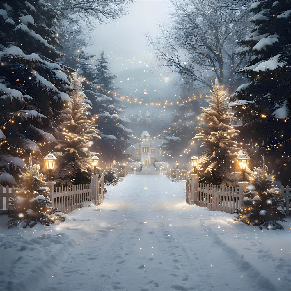 Toile de fond Maison en Bois Lumières de Noël RR8-30