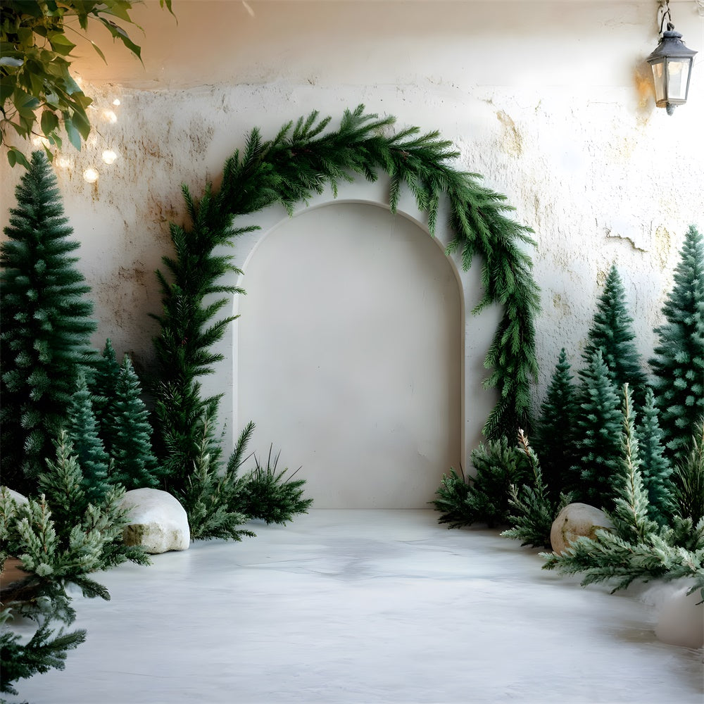 Toile de Fond Arche de Sapin de Noël pour Photographie RR8-347