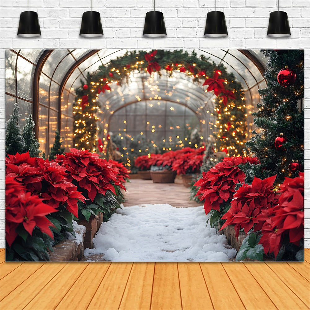 Toile de Fond Guirlande Lumineuse avec Poinsettia de Noël RR8-356