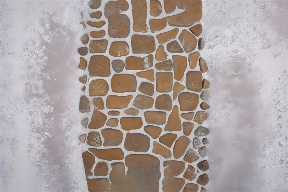 Toile de Fond Sol en Pierre Géométrique Neigeuse RR8-604