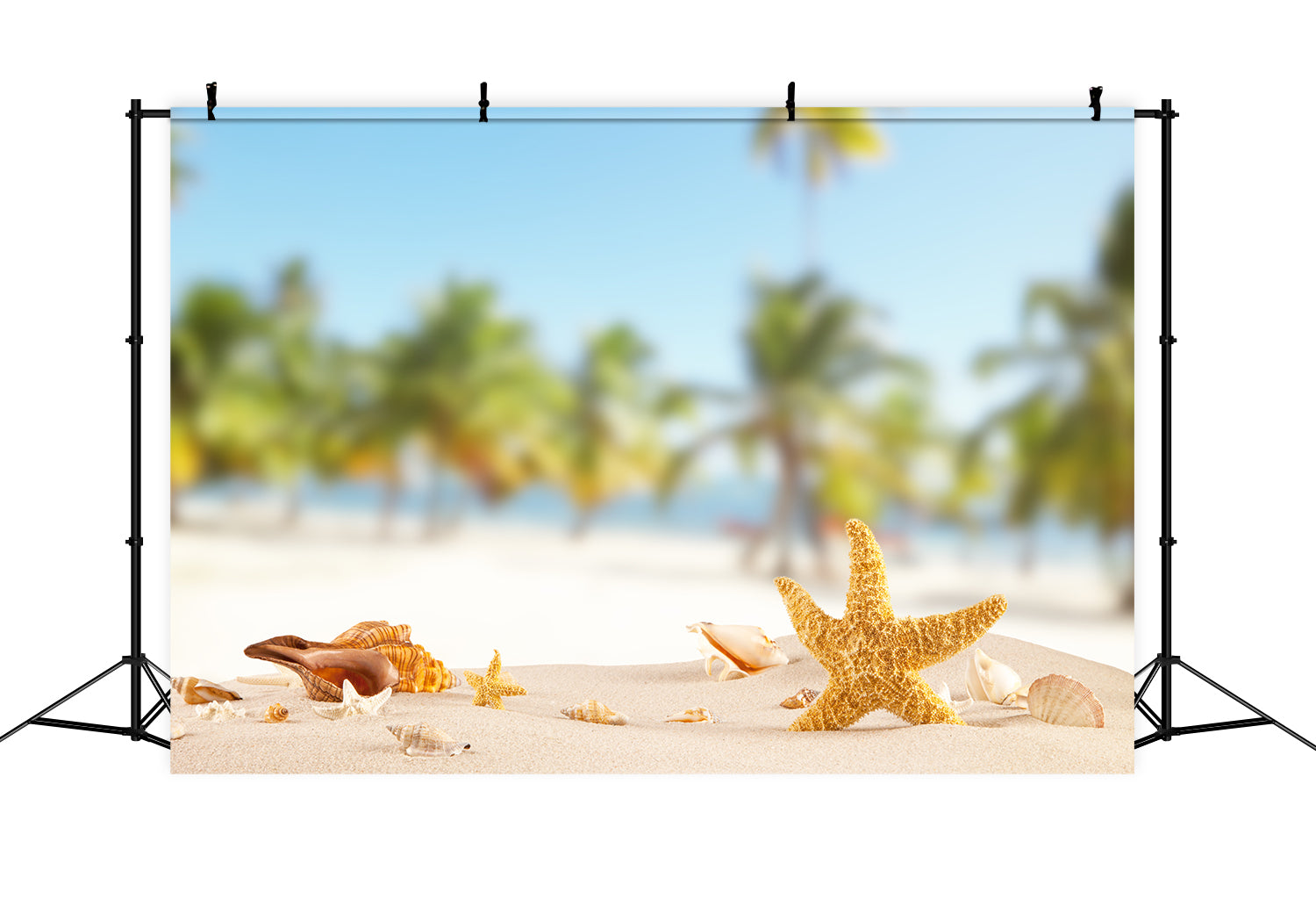 Toile de fond photo de vacances d'été de plage étoile de mer S-3207