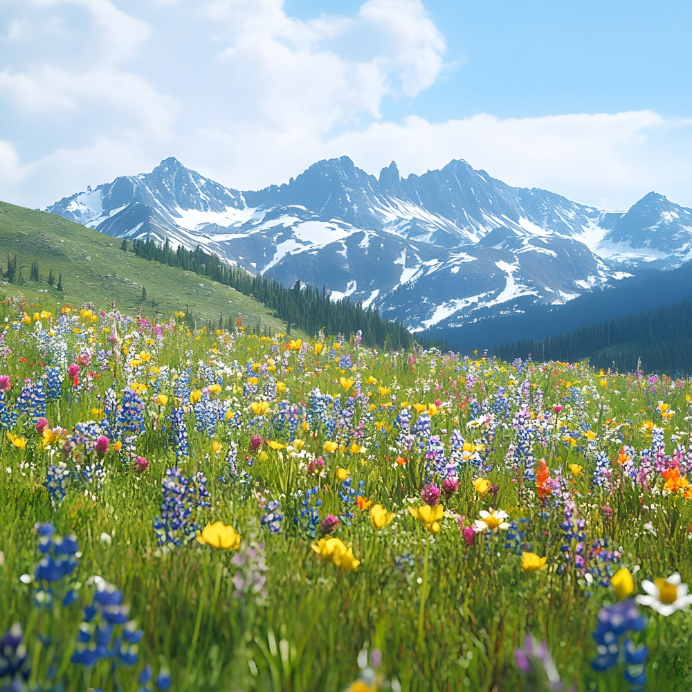 Fond Photo Printemps Prairie de Fleurs Sauvages Vue Montagne TWW2-32