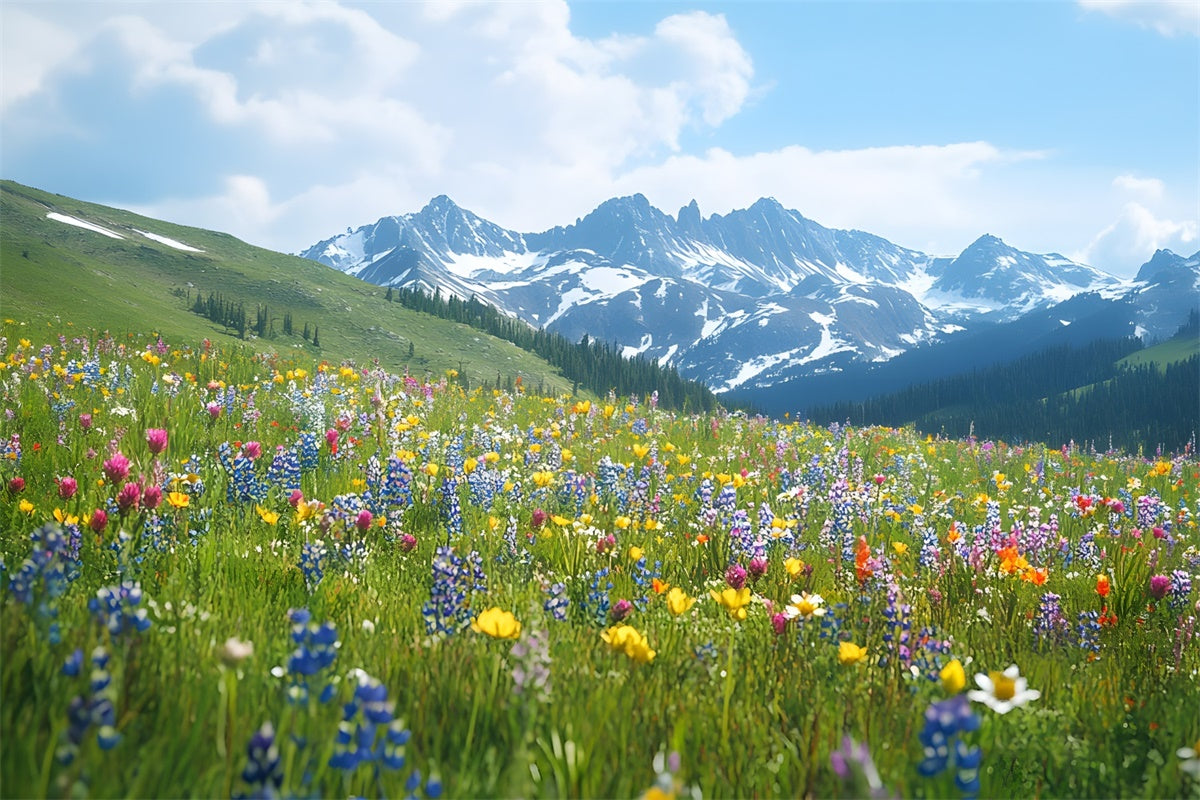 Fond Photo Printemps Prairie de Fleurs Sauvages Vue Montagne TWW2-32