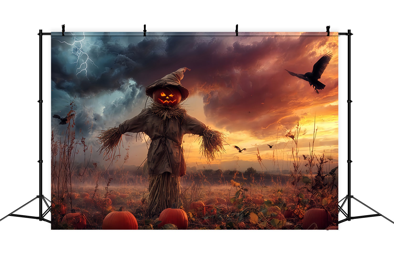 Fond forêt hantée Citrouille Épouvantail Champ orageux Fond Halloween effrayant TWW510-18