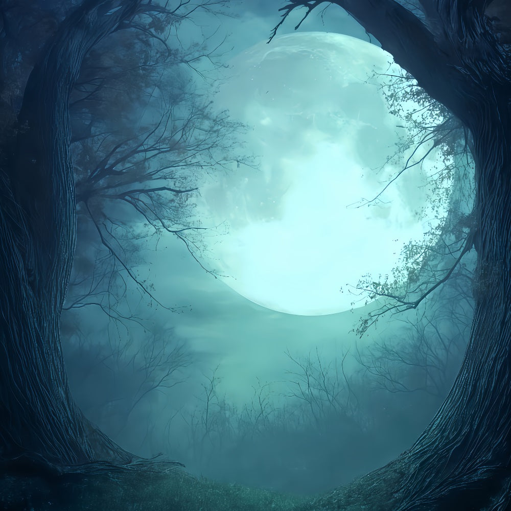 Fond d'Halloween avec lune, forêt au clair de lune et lueur crépusculaire Fond d'Halloween effrayant TWW510-28