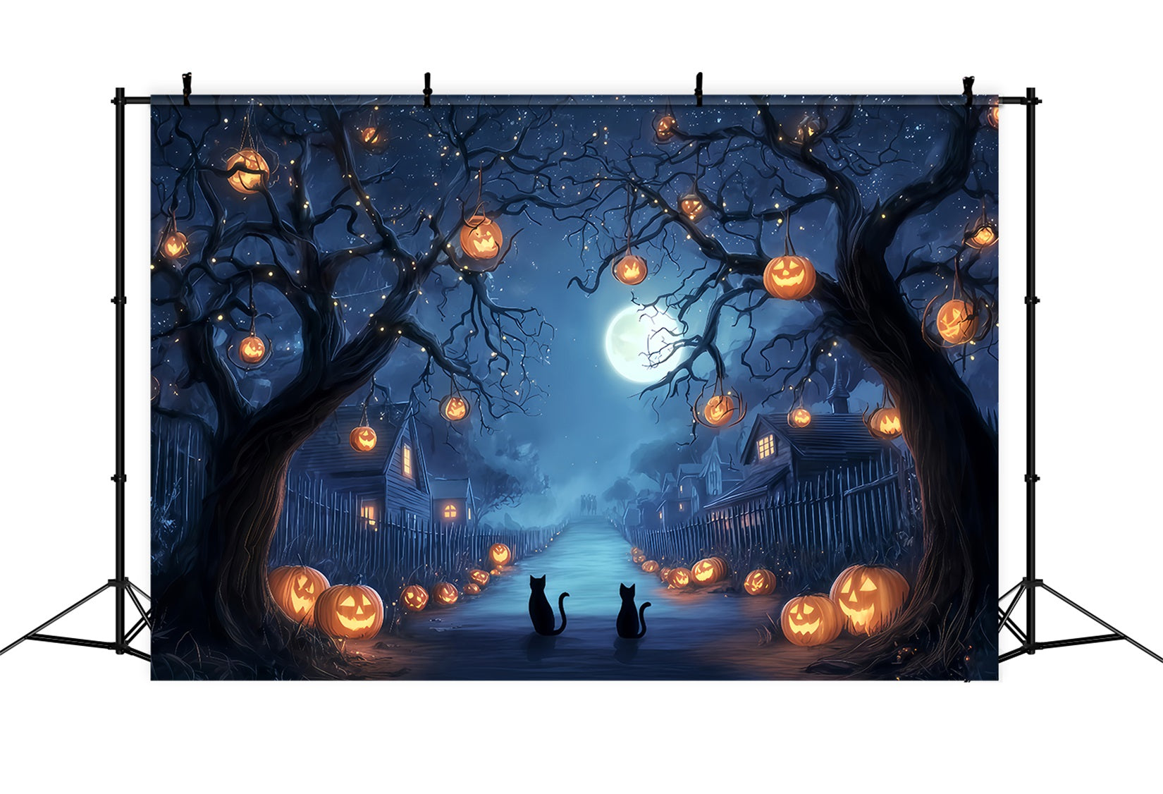 Toile de fond colorée d'Halloween Allée de citrouilles Chats de minuit Toile de fond effrayante d'Halloween TWW510-38