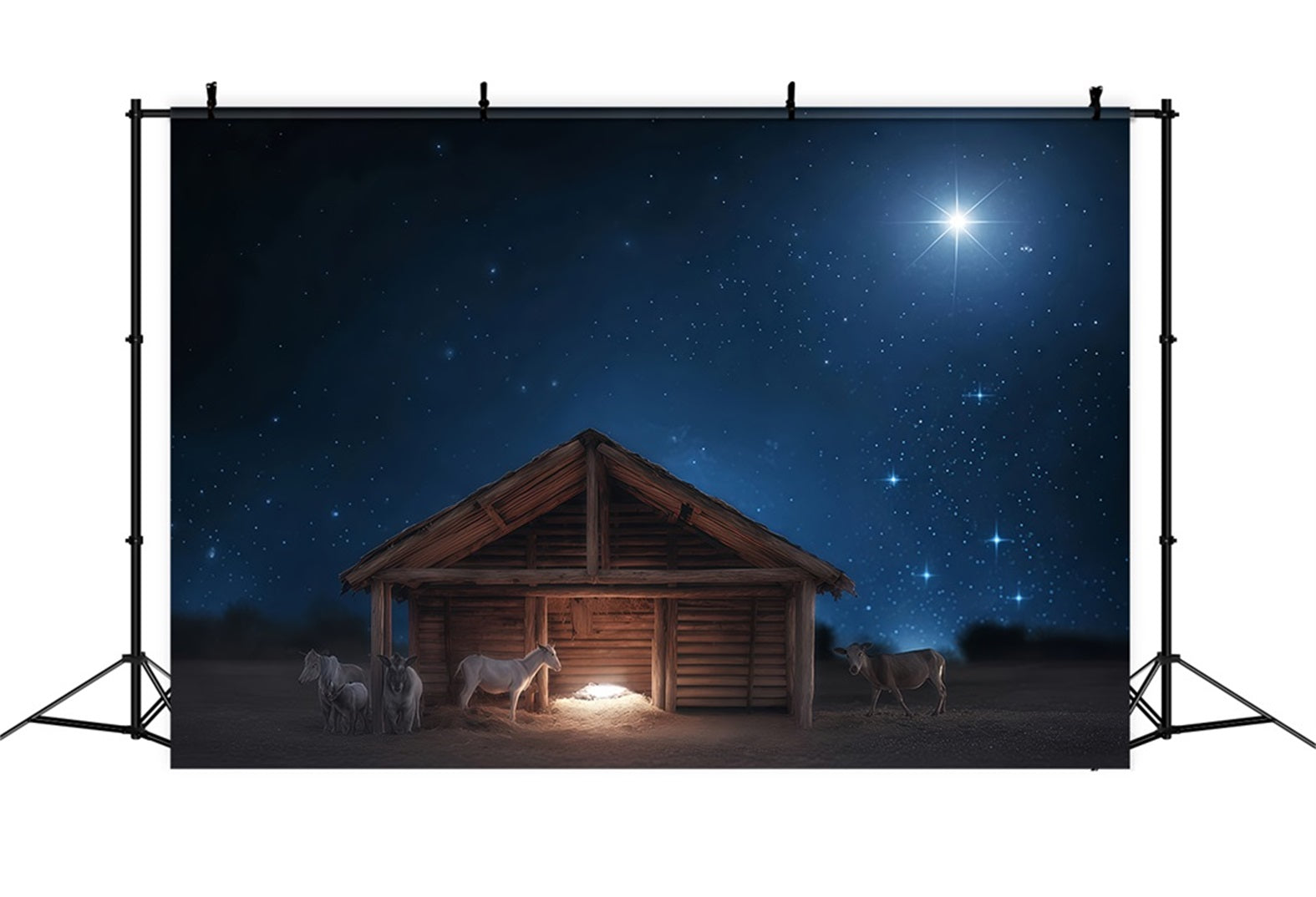 Fond de crèche Nuit silencieuse Éclat de la crèche Idées de fonds de Noël TWW510-77