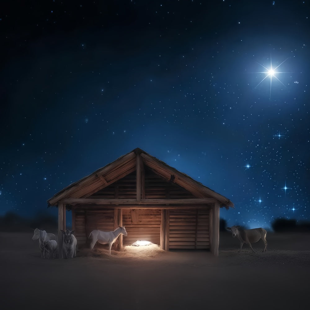 Fond de crèche Nuit silencieuse Éclat de la crèche Idées de fonds de Noël TWW510-77