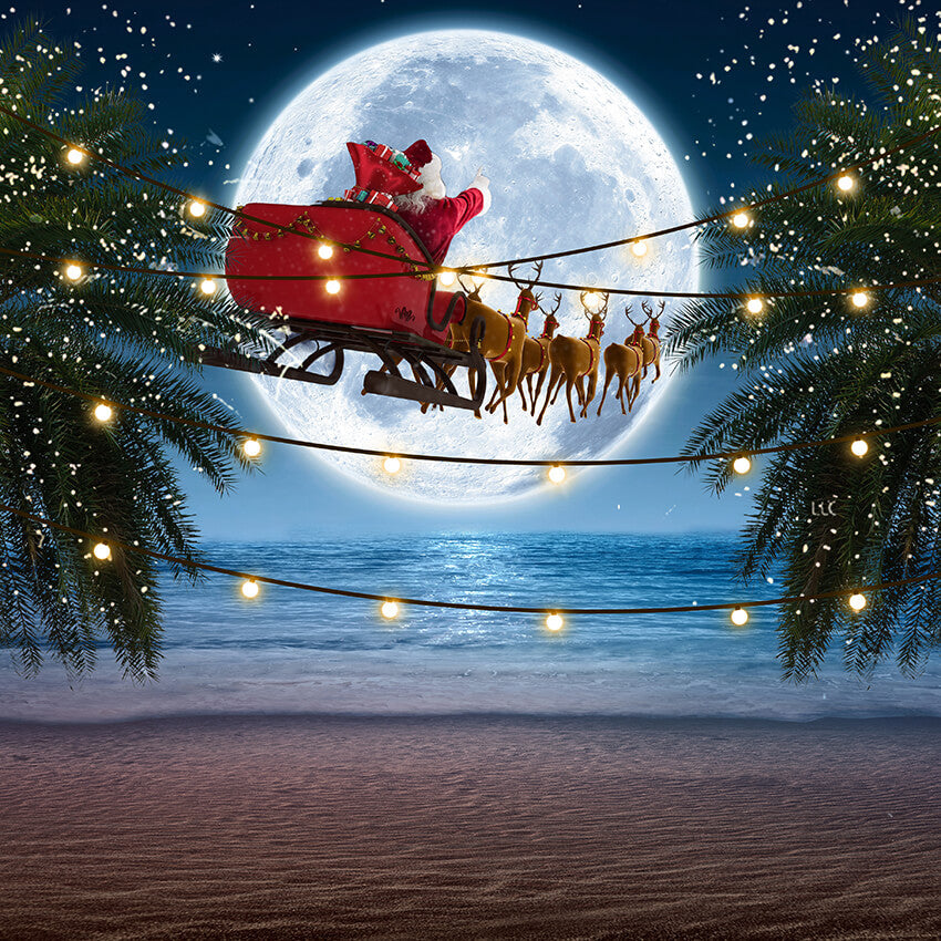 Toile de fond de Noël arbre tropical bord de mer Père Noël D914