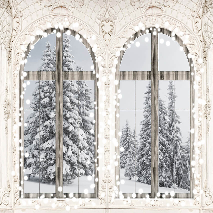 Fenêtre scintillante Toile de fond d'hiver de Noël D945