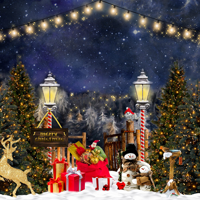 Toile de fond de boîte-cadeau de joyeux Noël Elk D967