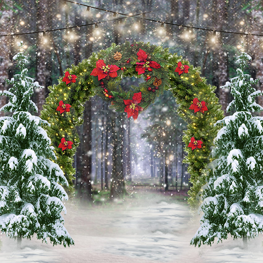Toile de fond de l'arc de l'arbre de Noël de la forêt d'hiver D972