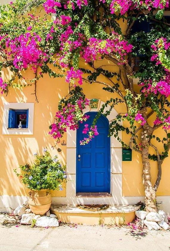 Beautiful Blue Door Flowers Tree Backdrops for Pictures G-671