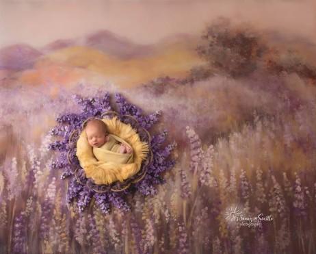 Toile de fond de photographie de bébé nouveau-né Style flou G-904