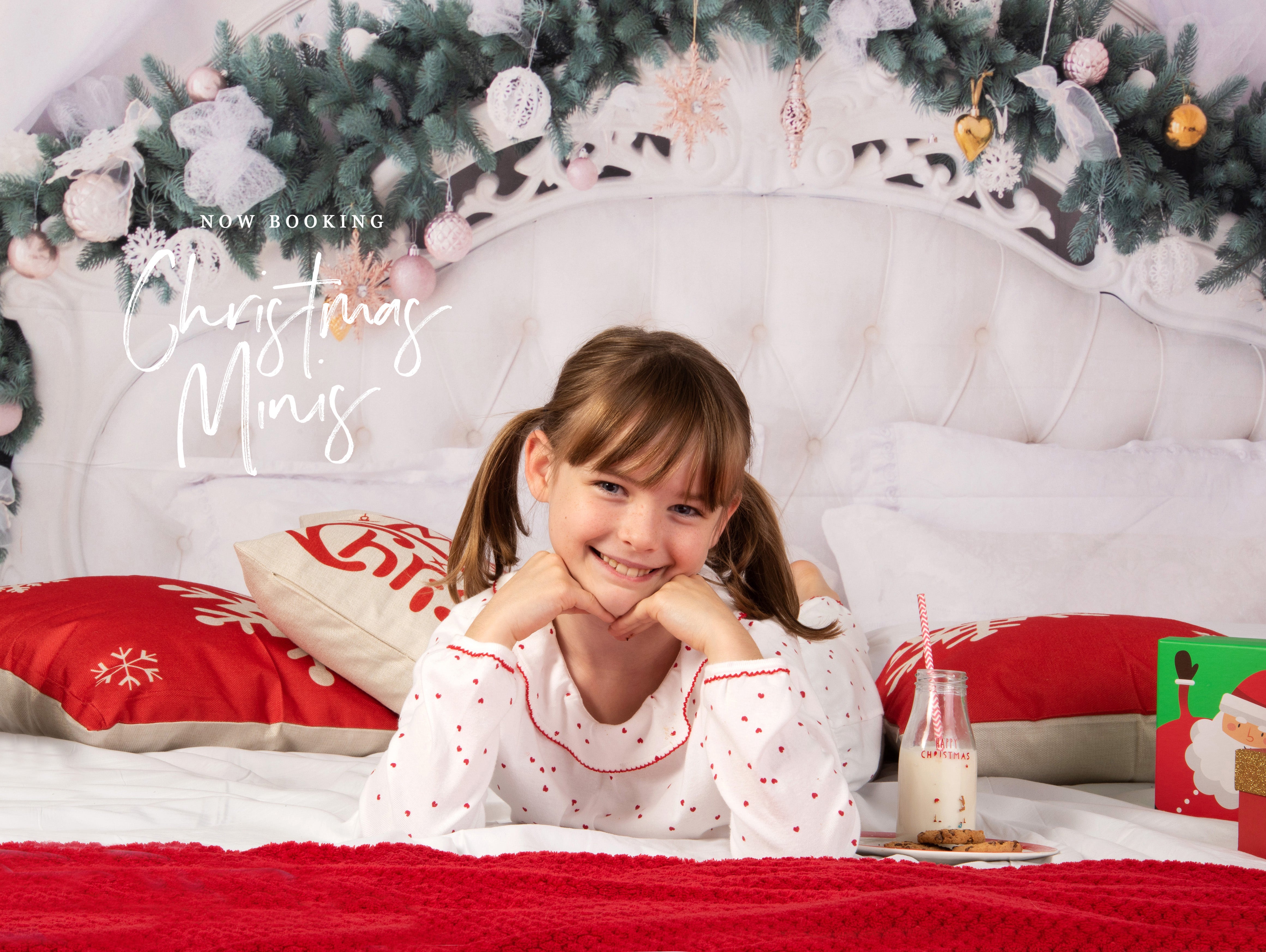 Toile de fond  Fondations de Noël de tête de lit de luxe Photo Studio