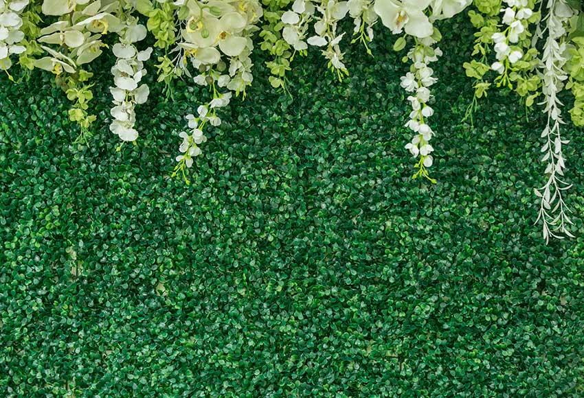 Fond De Mur Floral Fond Vert Pour La Photographie Gx-1034