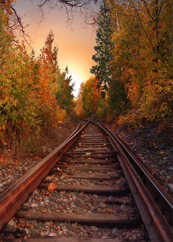 Chemin De Fer Automne Or Jaune Arbres Toile De Fond S-785