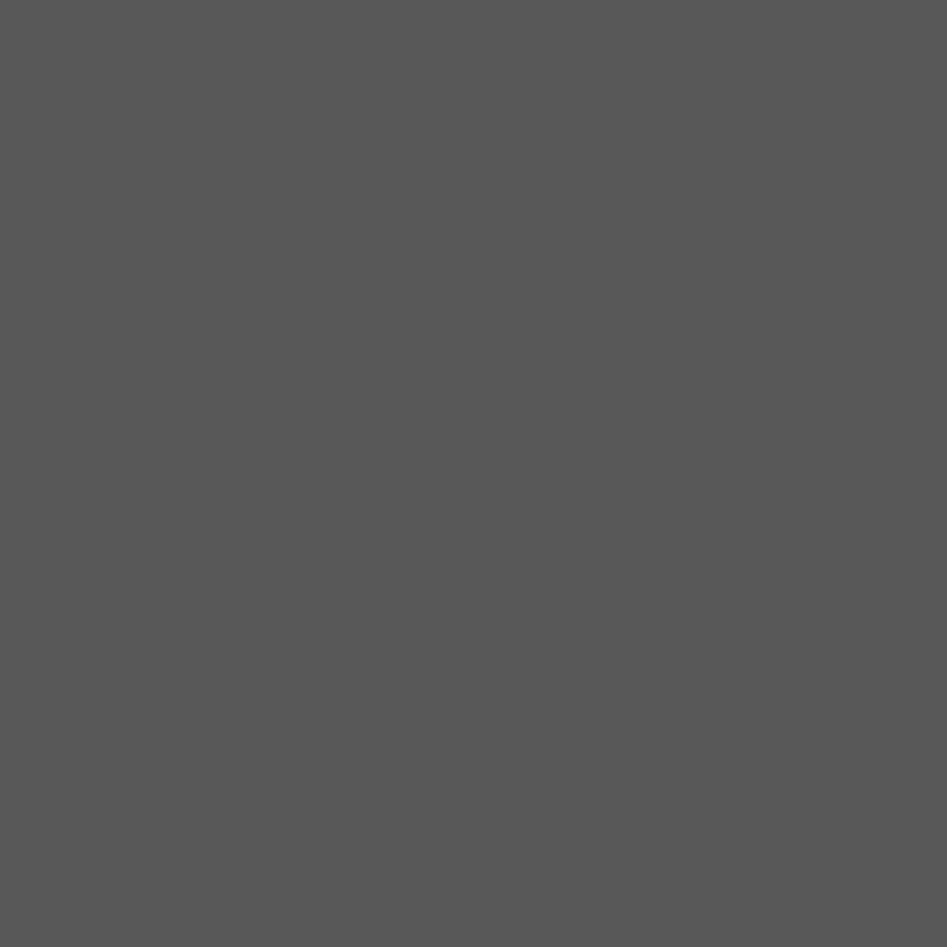 Toile de fond de couleur unie gris foncé pour Photo Studio S4