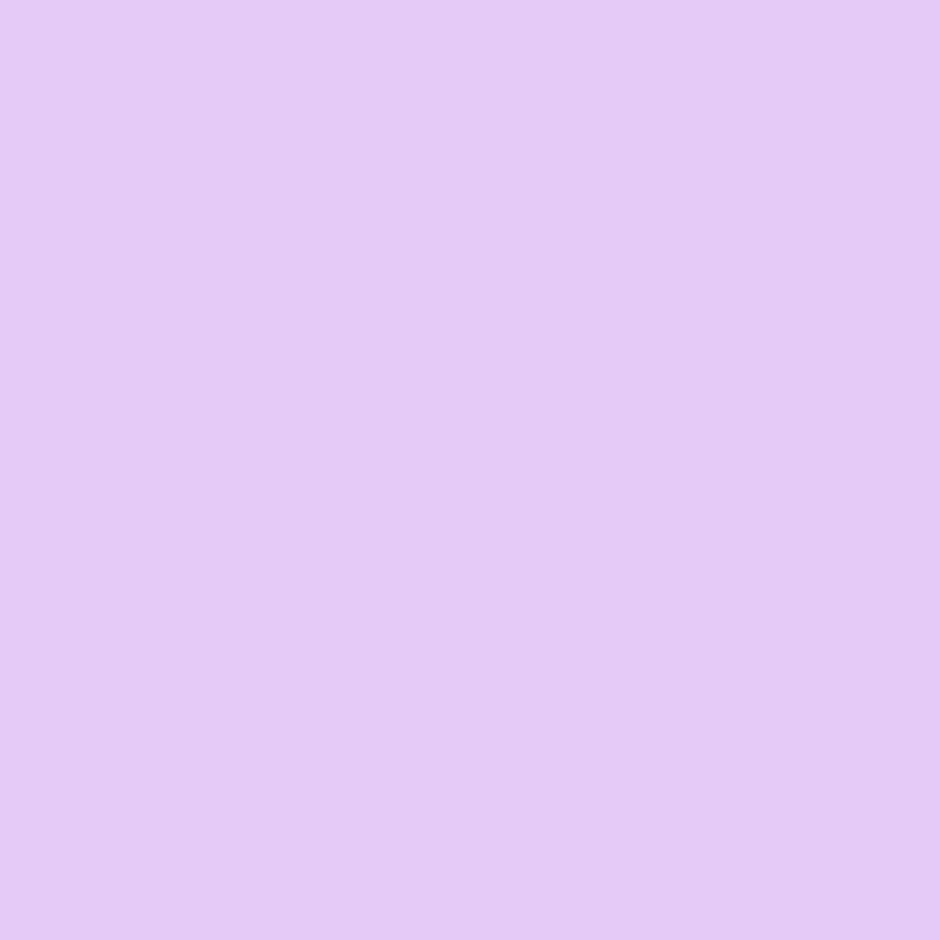 Toile de fond d'écran lilas de couleur unie pour la photographie SC48