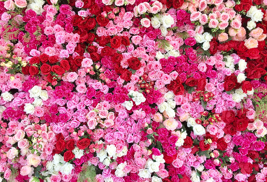 Toile de Fond de Roses Colorées pour la Fête de Mariage SH-1017