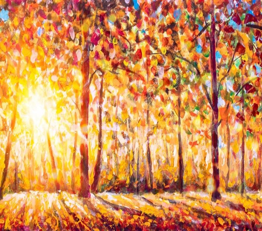 Automne Ensoleillement Feuilles Jaunes Dorées Toile de Fond Studio SH-805