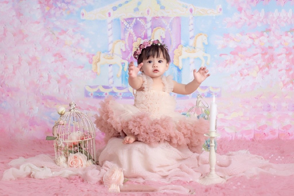 Toile De Fond Rose Nouveau-Né Fond Carrousel Peinture Fond Bébé Fille Photographie Zg-03