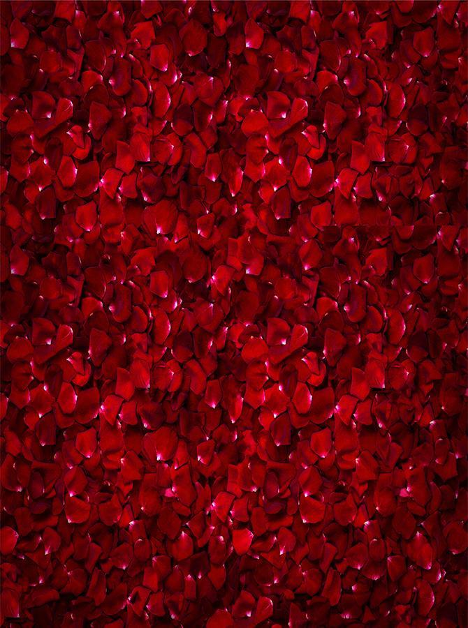 Toile de Fond de Pétales de Rose Rouge Pour Studio Photo Shoot KAT-69